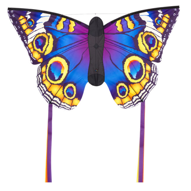 Butterfly Buckeye L