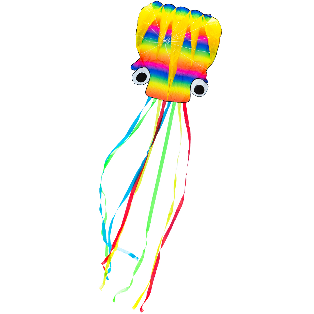 Rainbow Octopus L