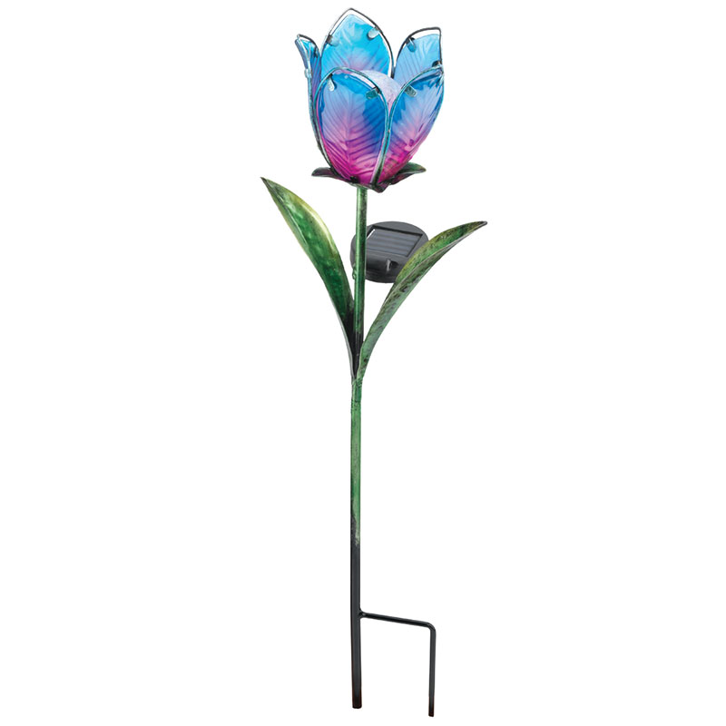solar glas tulip Blue Pink